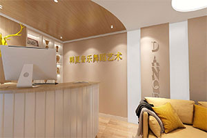 音樂(lè)舞蹈藝術(shù)學(xué)校培訓(xùn)機(jī)構(gòu)裝修全景圖